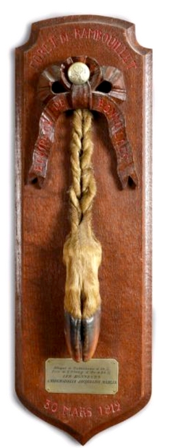 Cerf pris en 1912 - Collection particulière
